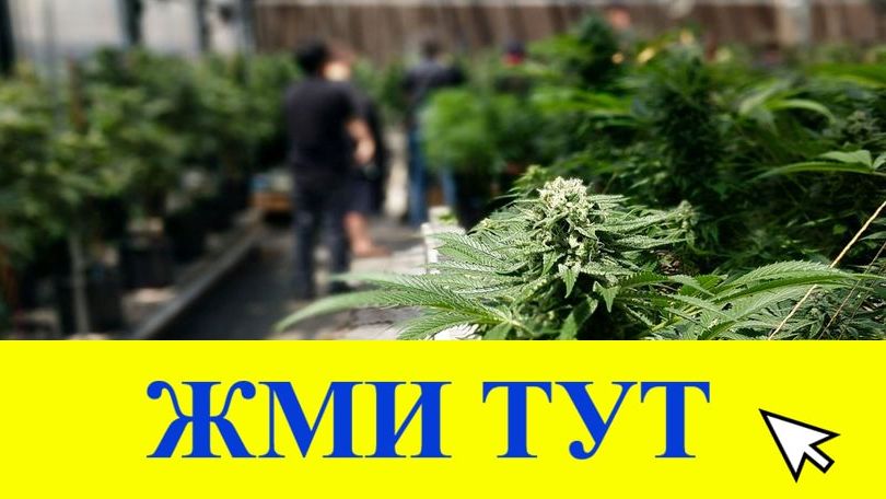 Купить наркотики в Партизанске